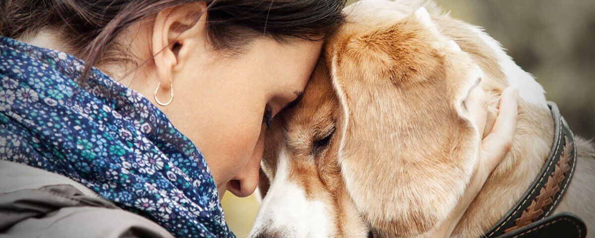Can Pet Therapy Treat Mental Illness | Banyan Treatment Center