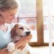 Using Pet Therapy for Depression