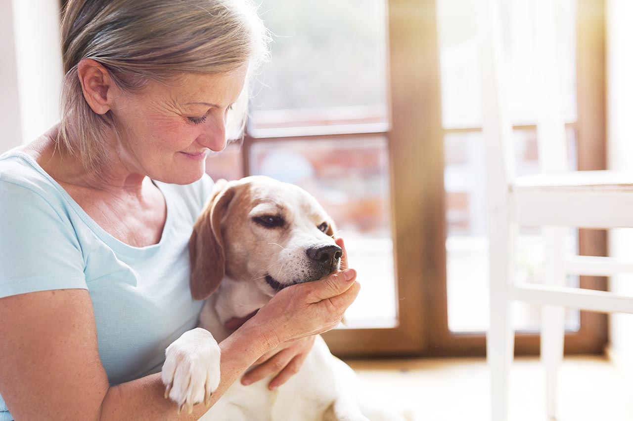 Using Animal Therapy for Depression | Banyan Mental Health